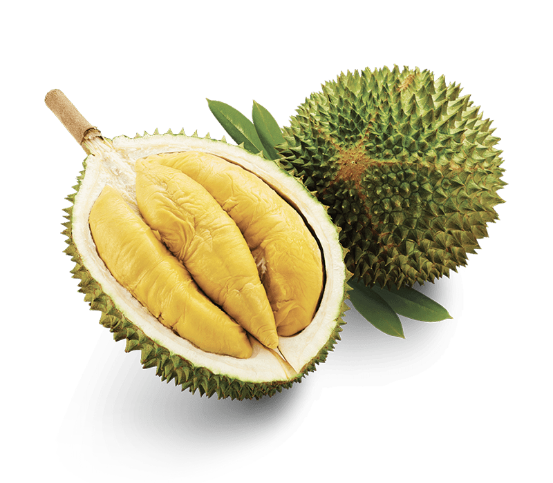 D197 Musang King Durian 
